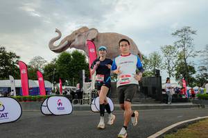 BIB: 
                            <button type="button" onclick="openModal(26528623)" class="btn btn-primary btn-sm float-right btn-popup" data-toggle="modal" data-target=".modal-high-quality">
                        <i class="fas fa-shopping-cart"></i> Add to Cart
                    </button>
                                            <button type="button" onclick="isThisMe(26528623, true)" class="btn btn-success btn-sm float-right btn-popup btn-isme hidden" data-toggle="tooltip" data-placement="bottom" title="นี่คือรูปของคุณใช่ไหม คลิกที่นี่เพื่อเอาเข้าอัลบั้ม">
                        <i class="fas fa-plus"></i> Add to album
                    </button>
                    <button type="button" onclick="isThisMe(26528623, false)" class="btn btn-warning btn-sm float-right btn-popup btn-isnotme hidden">
                        <i class="fas fa-ban"></i> Remove from album
                    </button>